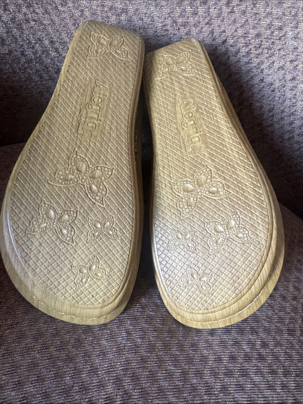 Alegria Metallic Gold and Champagne T-Strap Sandals - Picture 5 of 6